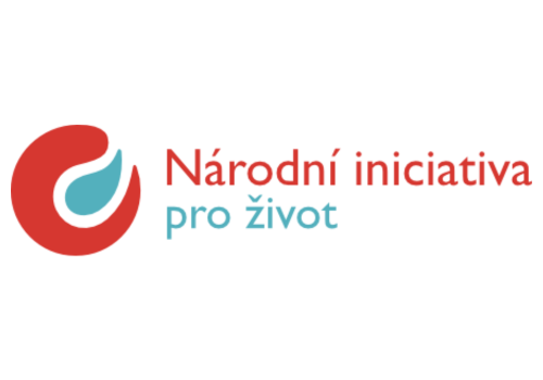 NIŽ